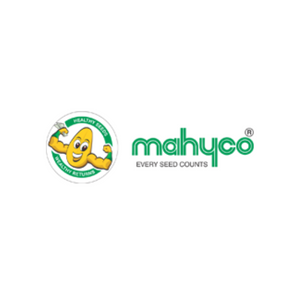 mahyco 300 x 300