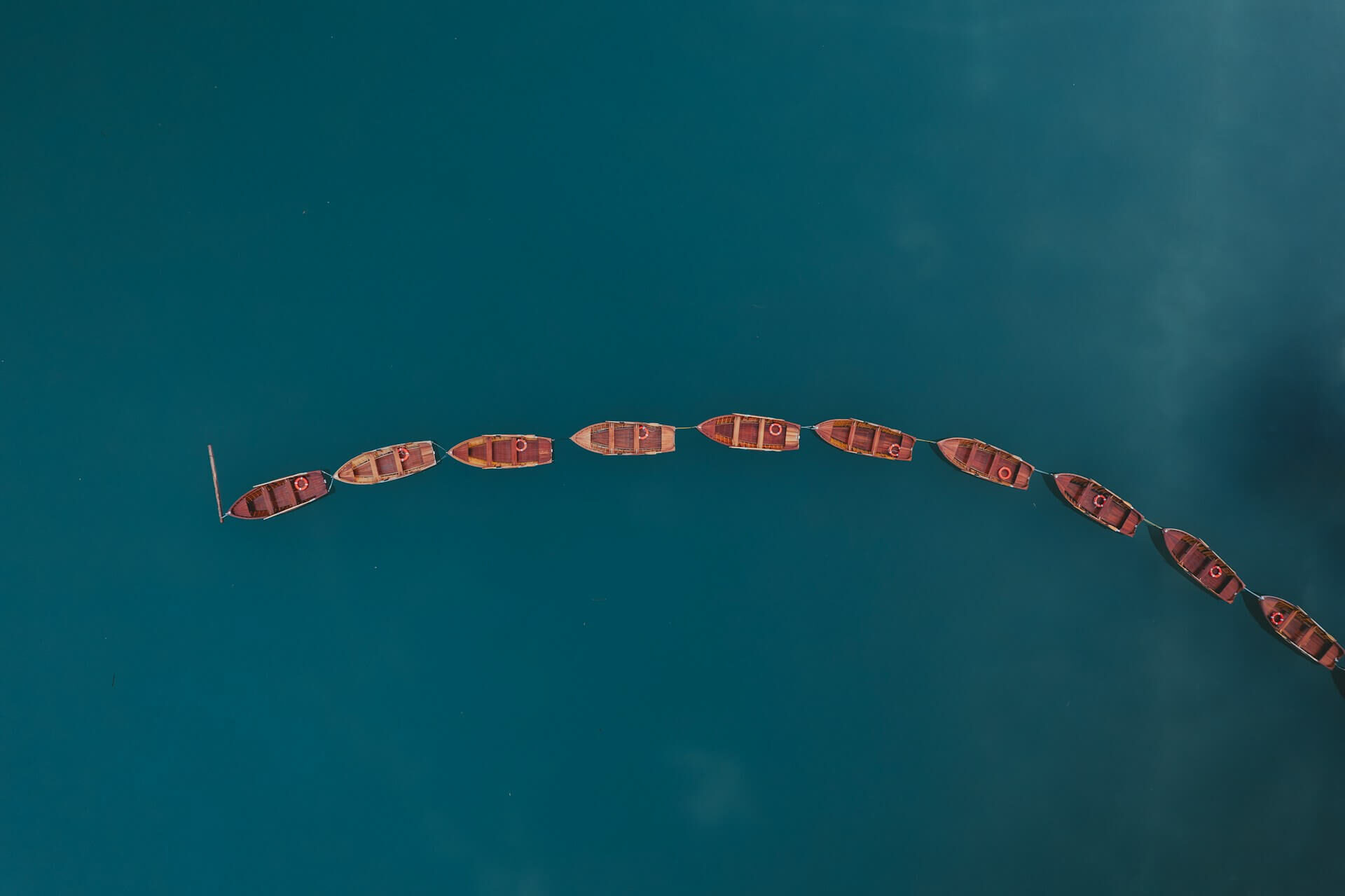 guillaume-auceps-UdipNSOXOXA-unsplash