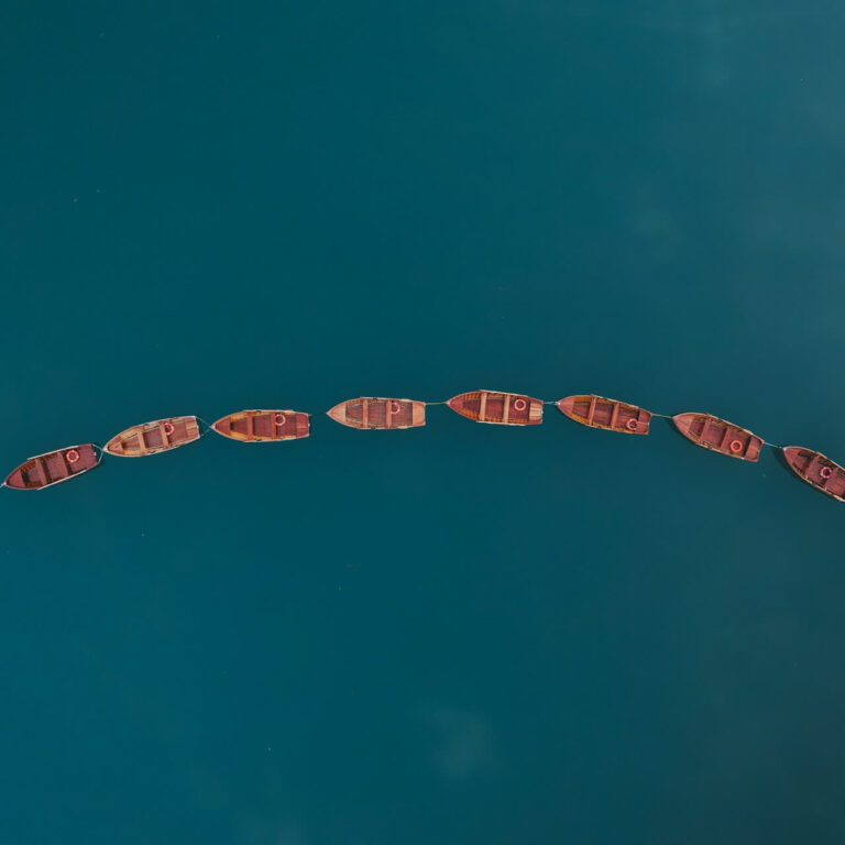 guillaume-auceps-UdipNSOXOXA-unsplash