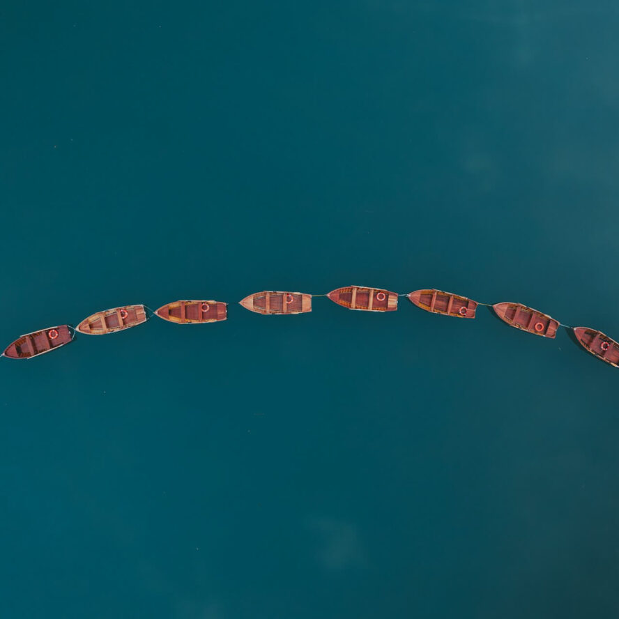 guillaume-auceps-UdipNSOXOXA-unsplash